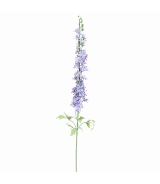 DELPHINIUM 127CM BLUE