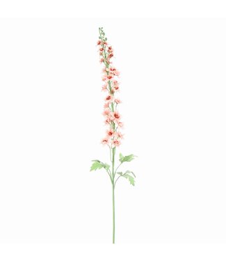 DELPHINIUM 127CM PEACH