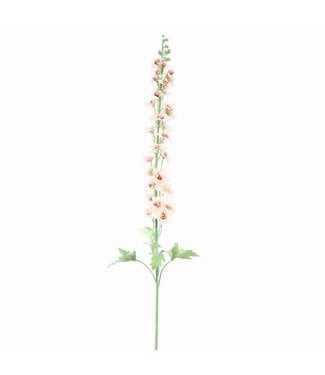 DELPHINIUM 127CM CREAM