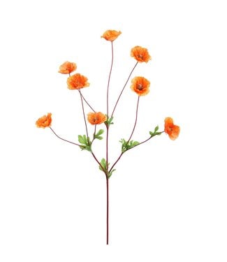 KLEURSTEEL PAPAVER 95CM ORANJE