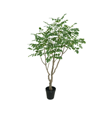 Sandalwood boom 240cm