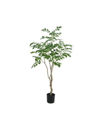 Sandalwood boom 180cm