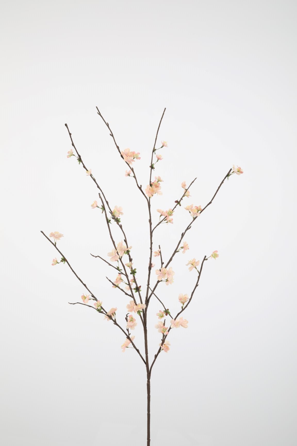Sakura Blossom Spray 125cm - Woon!