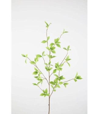 Brasiliana Leaf Spray 115cm
