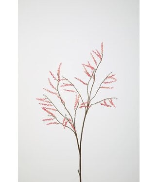 Catkins Spray 130cm rose