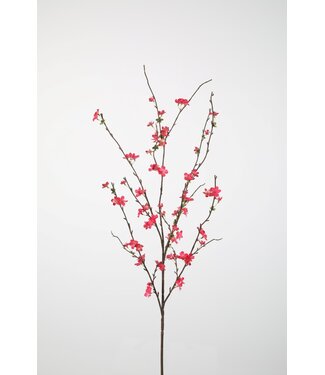 Sakura Blossom Spray 120cm be