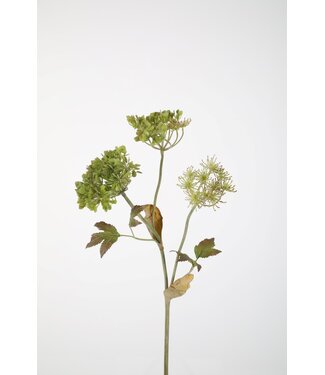 Heracleum Stem 90cm