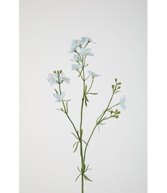 Larkspur lichtblauw 85cm