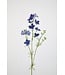 Larkspur blauw 85cm