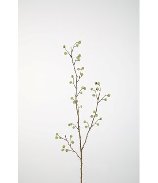 Juniper Berry Stem 95cm groen