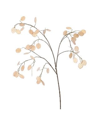 LARGE SILVER DOLLAR 110CM BEIGE