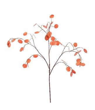 LARGE SILVER DOLLAR 110CM ORANGE