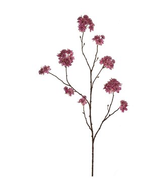 Large astrantia branch 110cm beauty