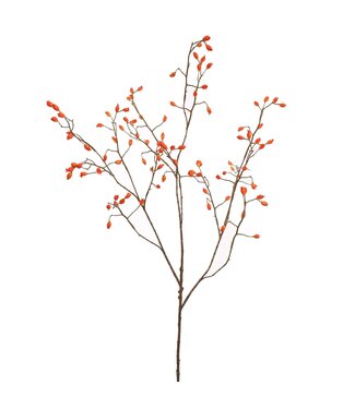 ROSEHIP SPRAY 105CM ORANGE