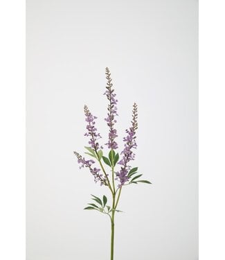 Buddleja Spray 78 cm paars