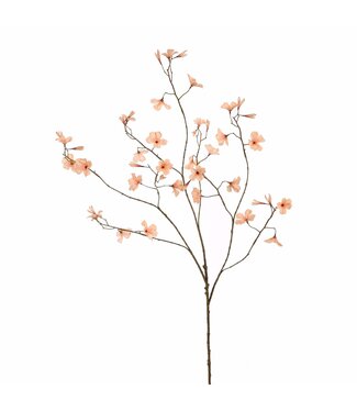 BEGONIA 106CM PEACH
