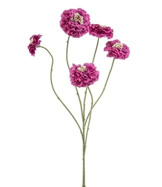 Zinnia spray beauty/green 90cm