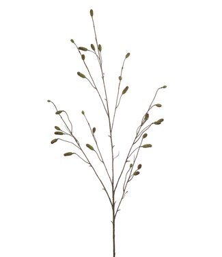 Sanguisorba spray green 110cm