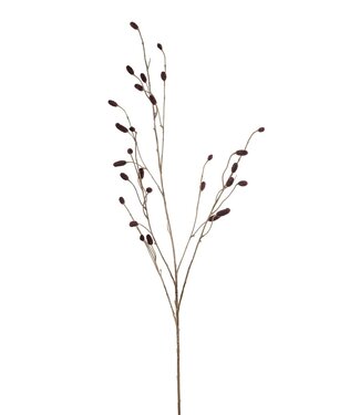 Sanguisorba spray burgundy 105cm