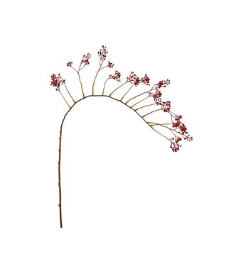 Rosehip spray XL red 140cm