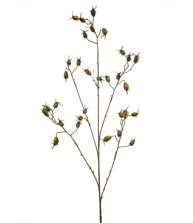 Rosehip spray green 90cm