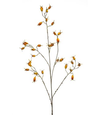 Rosehip spray orange 90cm