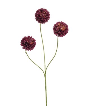 Dahlia pompon mini spray x3 burgund