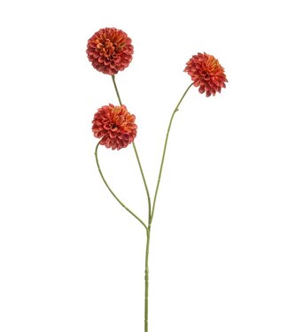 Dahlia pompon mini spray x3 orange