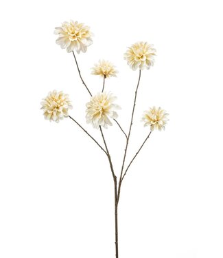 Dahlia spray cream 110cm