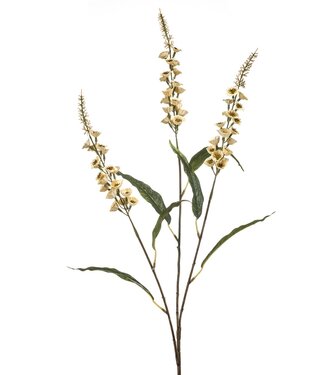 Veronica spray beige 97cm