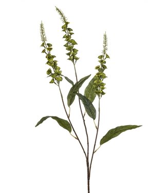 Veronica spray green 97cm