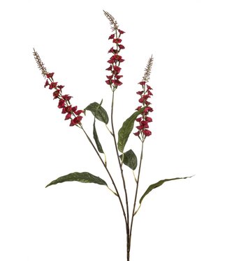 Veronica spray burgundy 97cm