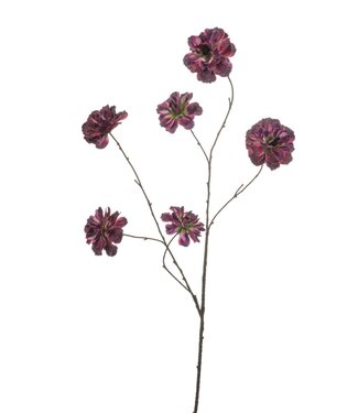 Ranunculus spray purple 110cm