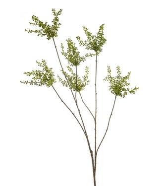 Berry spray green 120cm