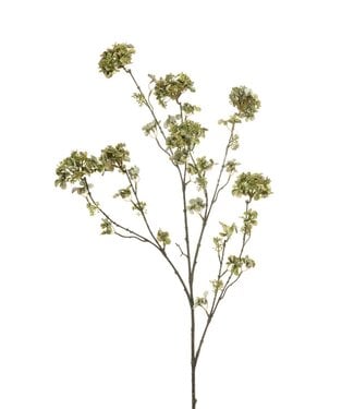 Hydrangea maple spray green 120cm