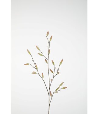 Salix Spray 95cm