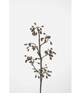 Acorn Branch 112cm