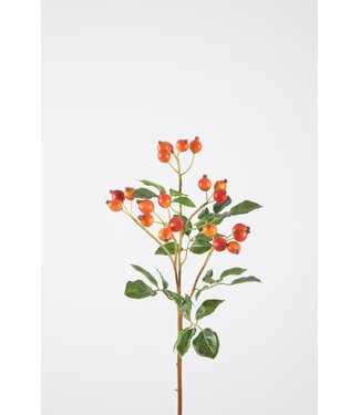 Rosehip Spray 66cm