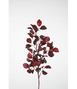 Beech Spray 100cm