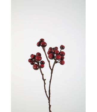 Fig Stem 67cm