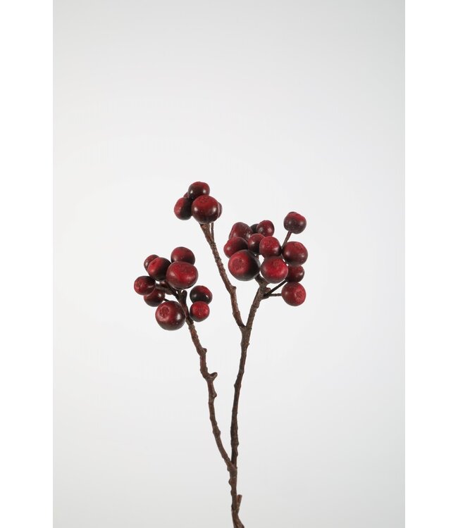 Fig Stem 67cm