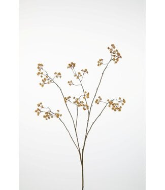 Fennel Spray 125cm