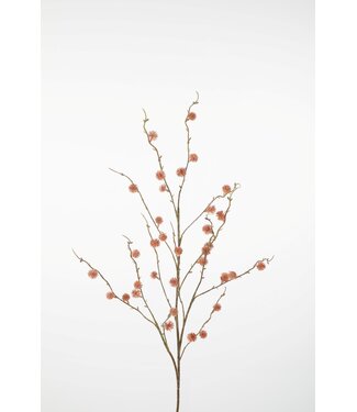 Chestnut Fruit 117cm
