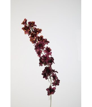 Delphinium Stem 110cm bordeaux