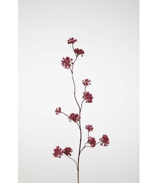 Verbena Spray 100cm fuchsia