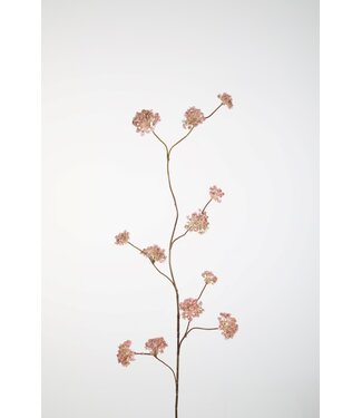 Verbena Spray 100cm rose