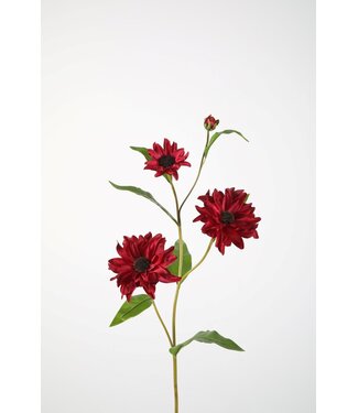 Black Eyed Susan 82cm