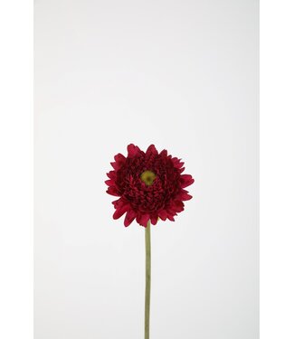 Chrysanthemum Stem 46cm