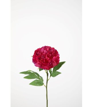 Peony Stem 67cm fuchsia