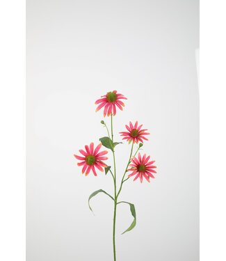 Echinacea Spray 72cm